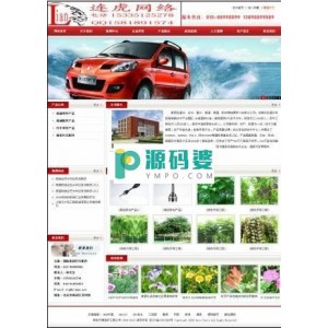 漂亮的asp红色企业网站系统 x2