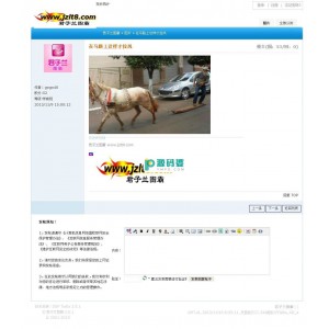 君子兰图霸  v1.6