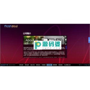 炫彩Flash网站系统  v10