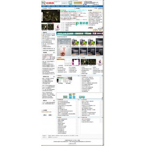 红鹦鹉综合网站管理系统 v2.3.1.3