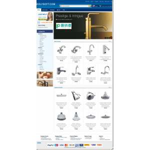 多瑞(dolysoft)外贸网店系统 v2.0.1